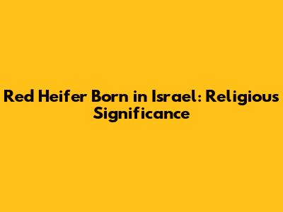 Red Heifer Born in Israel: Religious Significance