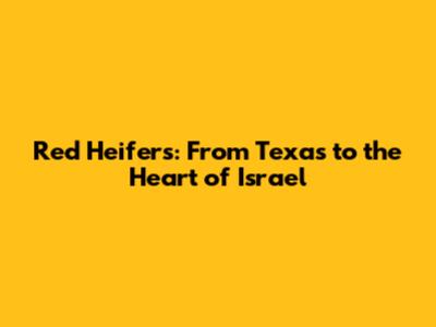 Red Heifers: From Texas to the Heart of Israel