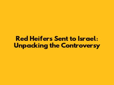 Red Heifers Sent to Israel: Unpacking the Controversy