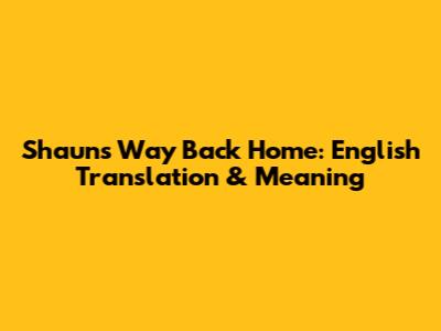 Shaun's 'Way Back Home': English Translation & Meaning