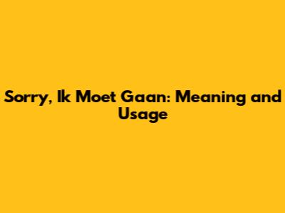 Sorry, Ik Moet Gaan: Meaning and Usage