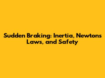 Sudden Braking: Inertia, Newton's Laws, and Safety