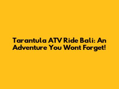 Tarantula ATV Ride Bali: An Adventure You Won't Forget!