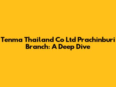 Tenma Thailand Co Ltd Prachinburi Branch: A Deep Dive