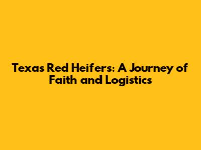 Texas Red Heifers: A Journey of Faith and Logistics
