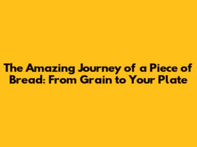 The Amazing Journey of a Piece of Bread: From Grain to Your Plate