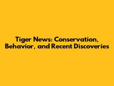Tiger News: Conservation, Behavior, and Recent Discoveries