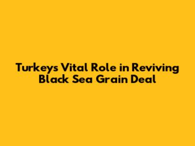 Turkey's Vital Role in Reviving Black Sea Grain Deal
