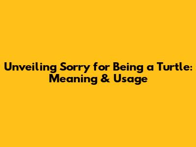 Unveiling 'Sorry for Being a Turtle': Meaning & Usage