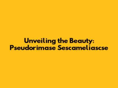 Unveiling the Beauty: Pseudorimase Sescameliascse