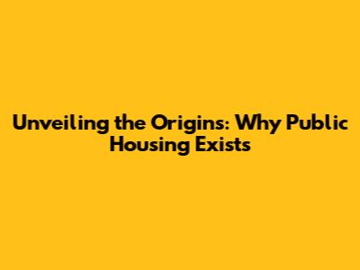 Unveiling the Origins: Why Public Housing Exists