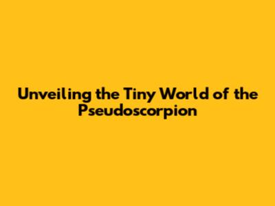 Unveiling the Tiny World of the Pseudoscorpion