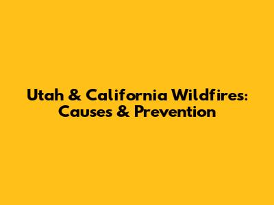 Utah & California Wildfires: Causes & Prevention