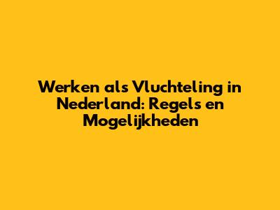 Werken als Vluchteling in Nederland: Regels en Mogelijkheden