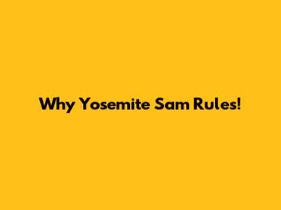 Why Yosemite Sam Rules!