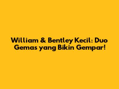 William & Bentley Kecil: Duo Gemas yang Bikin Gempar!