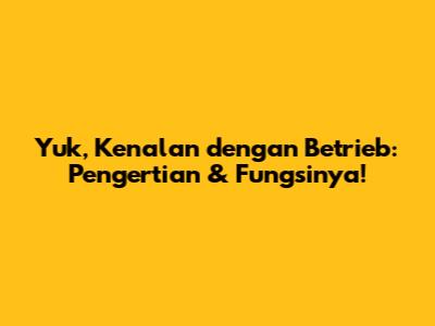 Yuk, Kenalan dengan Betrieb: Pengertian & Fungsinya!